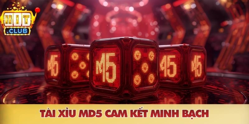 Tài xỉu MD5 cam kết minh bạch cho mọi người